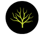 Mystic Timber Logo